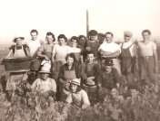 Vendanges au Crêt des Garanches, septembre 1942 Vendanges au Crêt des Garanches, septembre 1942